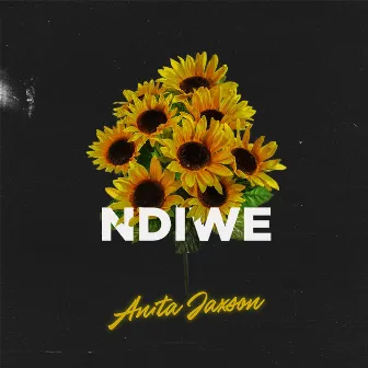 Ndiwe by Anita Jaxson