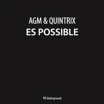 Es Posible by Quintrix