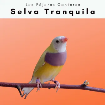 A Selva Tranquila by Los Pájaros Cantores