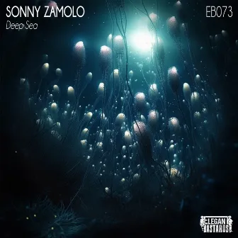 Deep Sea by Sonny Zamolo