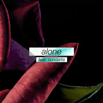 Alone by dontloveme