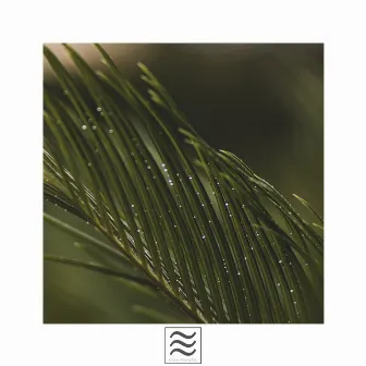 Lluvia Naturaleza Canciones De Cuna Ruidosas by Lluvia Relajante Ruidosa Ligera