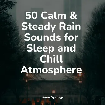 50 Calm & Steady Rain Sounds for Sleep and Chill Atmosphere by Musica Relajante Specialistas & Musica Relajante