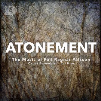 Atonement by Guðni Franzson