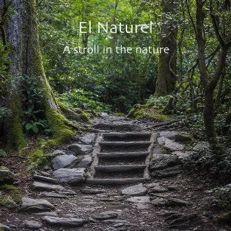 A Stroll in the Nature by El Naturel