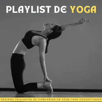 Playlist De Yoga: Sonidos Relajantes De Corrientes De Agua Para Concentrarse by Lista de reproducción de yoga