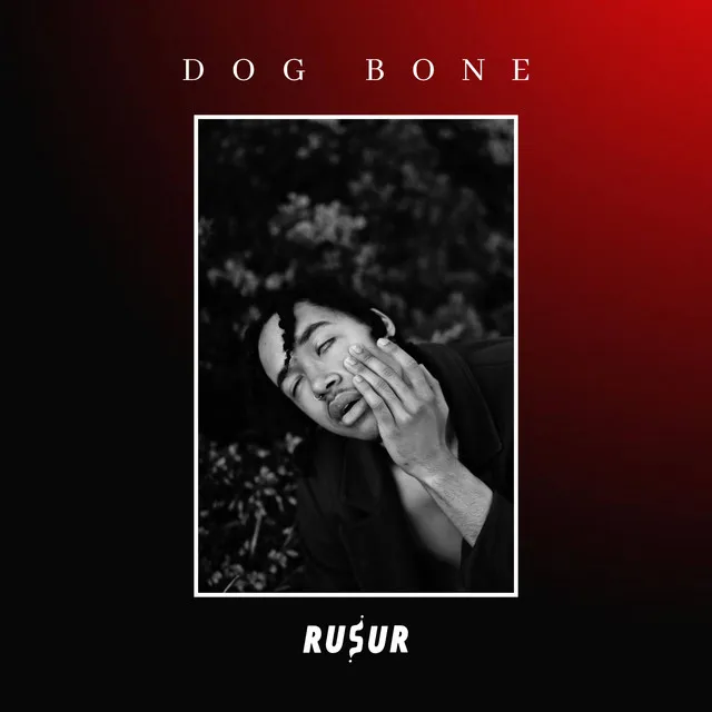 Dog Bone