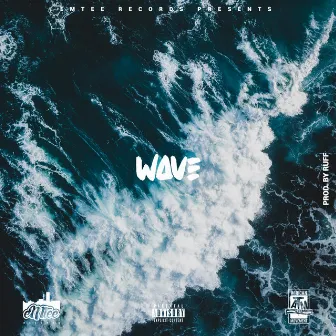 Wave by Emtee