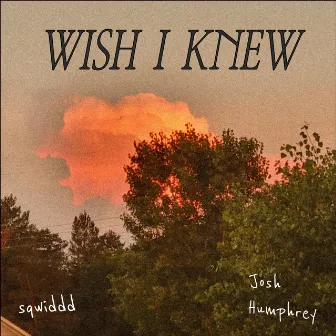 Wish I Knew by Sqwiddd