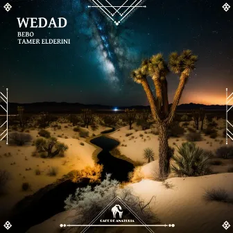 Wedad by Tamer ElDerini