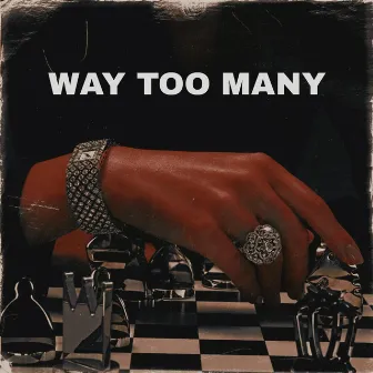 Way Too Many by L.E.V.