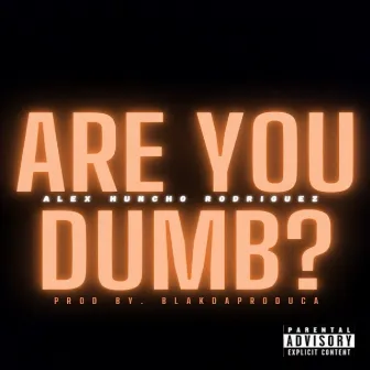 Are You Dumb? by Alex Huncho Rodriguez