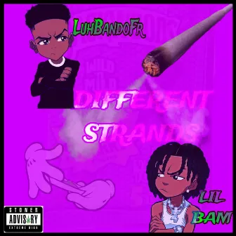 Different Strands by Lil Bam