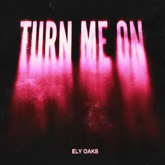 Turn Me On by Ely Oaks