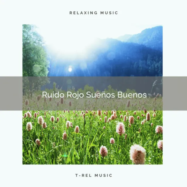 Ruido Rojo Sueños Buenos