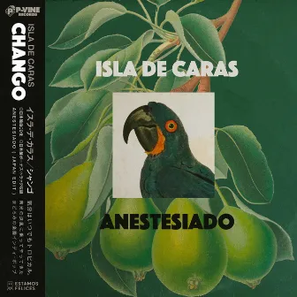 Anestesiado (Japan Edit) by Isla de Caras