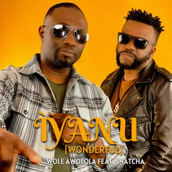 Iyanu by Wole Awolola