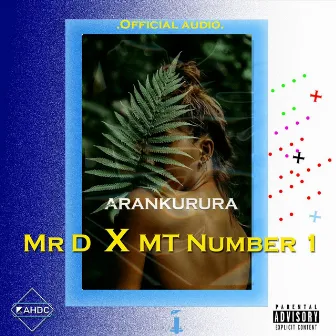 Arankurura by Mt Number One