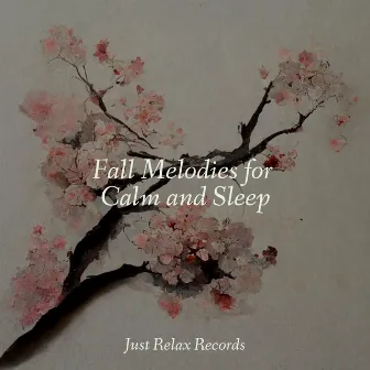 Fall Melodies for Calm and Sleep by Música a Relajarse