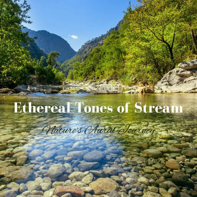 Ethereal Tones of Stream: Nature's Aural Journey