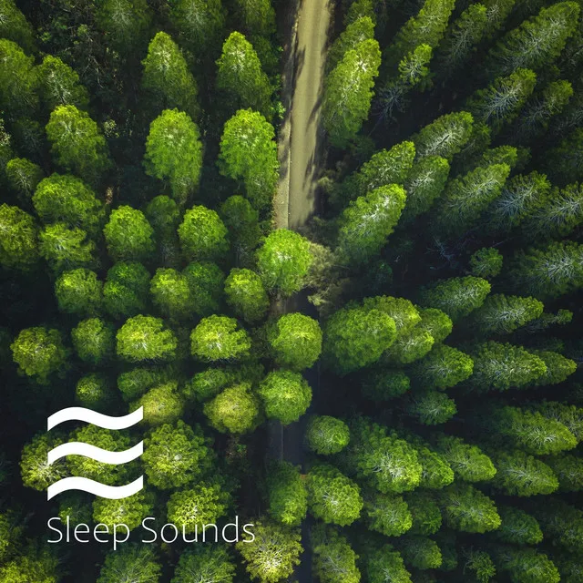 Sober Noise for Calm Sleep