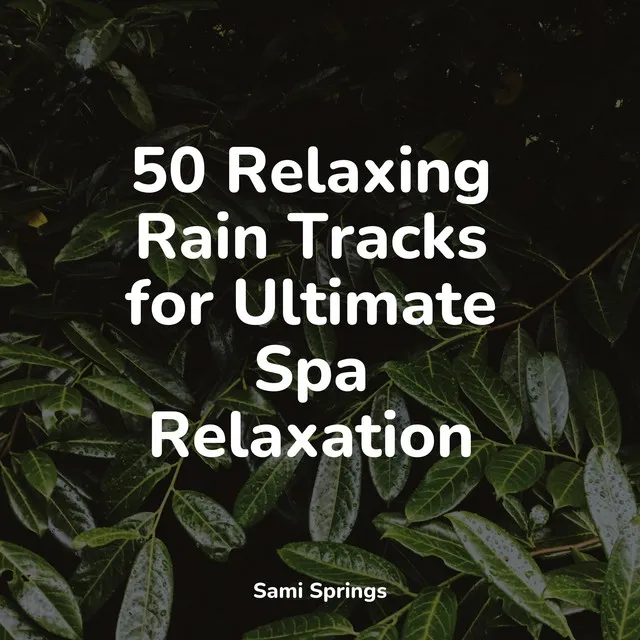 50 Relaxing Rain Tracks for Ultimate Spa Relaxation