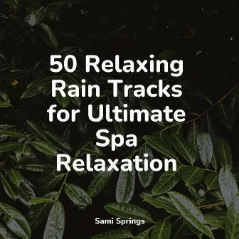 50 Relaxing Rain Tracks for Ultimate Spa Relaxation by Massagem