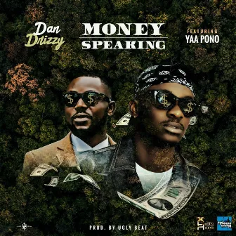 Money Speaking by Dan Drizzy