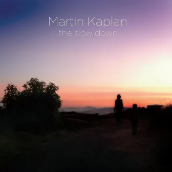 The Slow Down by Martin Kaplan