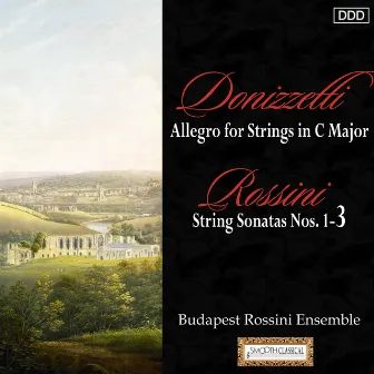 Donizetti: Allegro for Strings in C Major - Rossini: String Sonatas Nos. 1, 2 and 3 by Andras Kiss