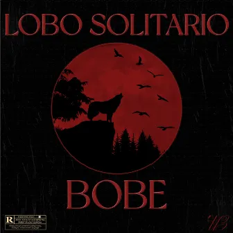 Lobo Solitario by Rapas