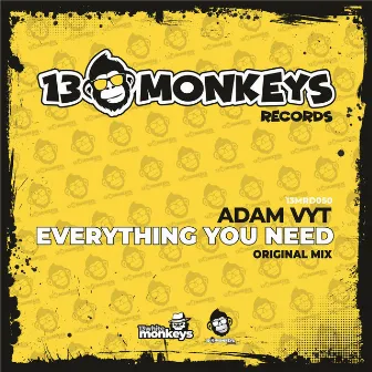 Everything You Need (Radio Edit) by Adam Vyt