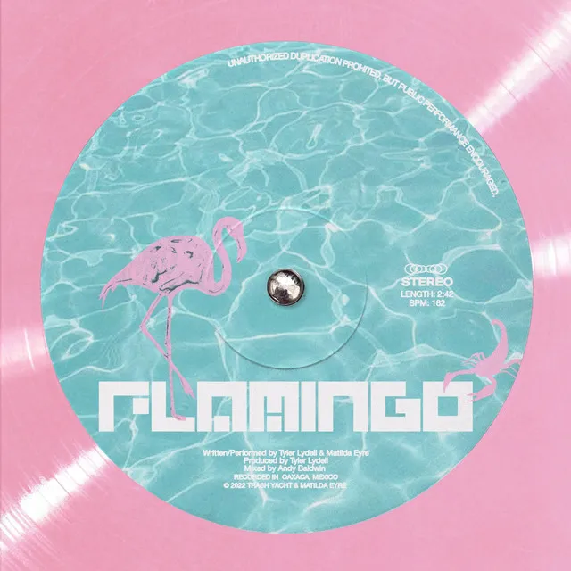 Flamingo