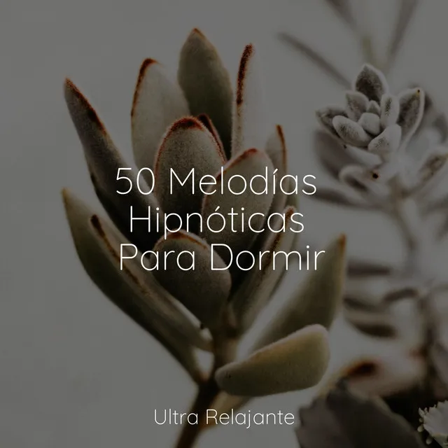 50 Melodías Hipnóticas Para Dormir