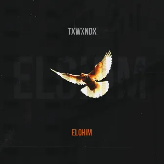 Elohim by Txwxndx