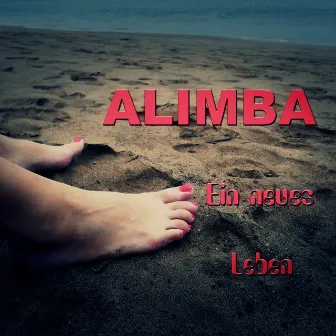 Ein neues Leben by Alimba