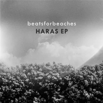 Haras - EP by Beatsforbeaches