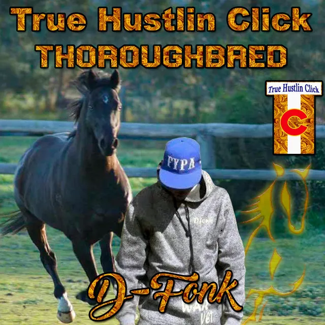 Thoroughbred