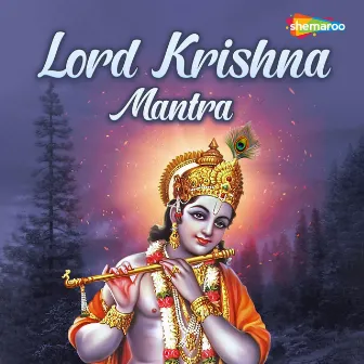 Lord Krishna Mantra by Kalyani Salunke