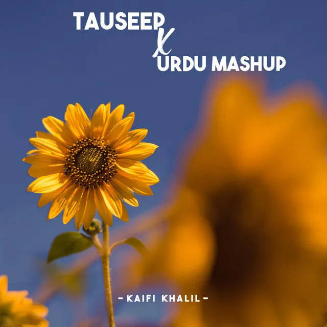 Tauseep X Urdu Mashup