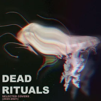 Selected Covers (2020-2021) by Dead Rituals