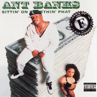 Sittin' On Somethin' Phat by Ant Banks