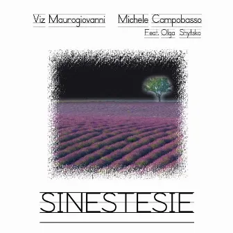 Sinestesie by Viz Maurogiovanni