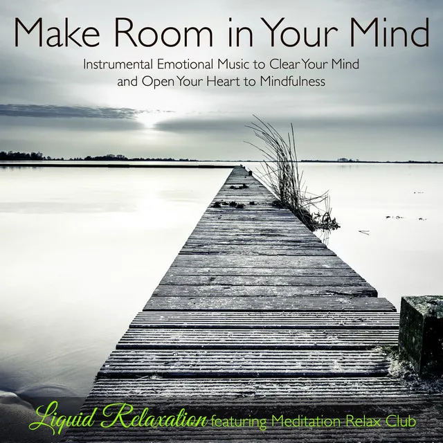 Make Room in Your Mind – Instrumental Emotional Music to Clear Your Mind and Open Your Heart to Mindfulness