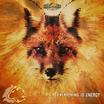 Everything is Energy by Satinka