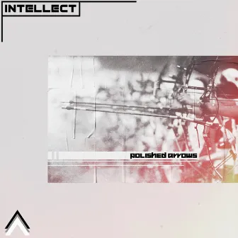 Polished Arrows by iNTELLECT