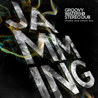 Jamming (Stereo Dub House Mix) by Groovy Waters