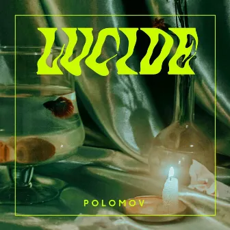 Lucide by Polomov