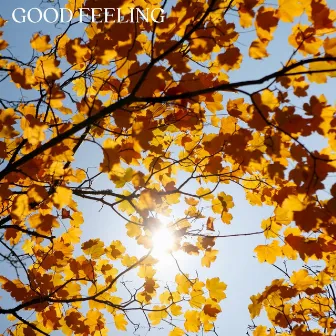 Good Feeling by Netuno Music