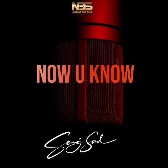 Now U Know by Senoj Soul